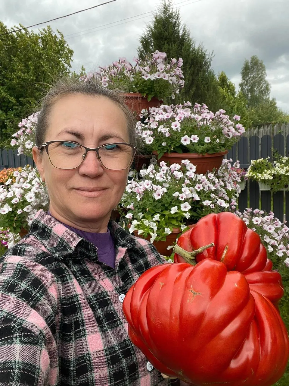 Жительница Подмосковья Регина Бухарметова вырастила помидор весом 3,09 кг, установив ре...