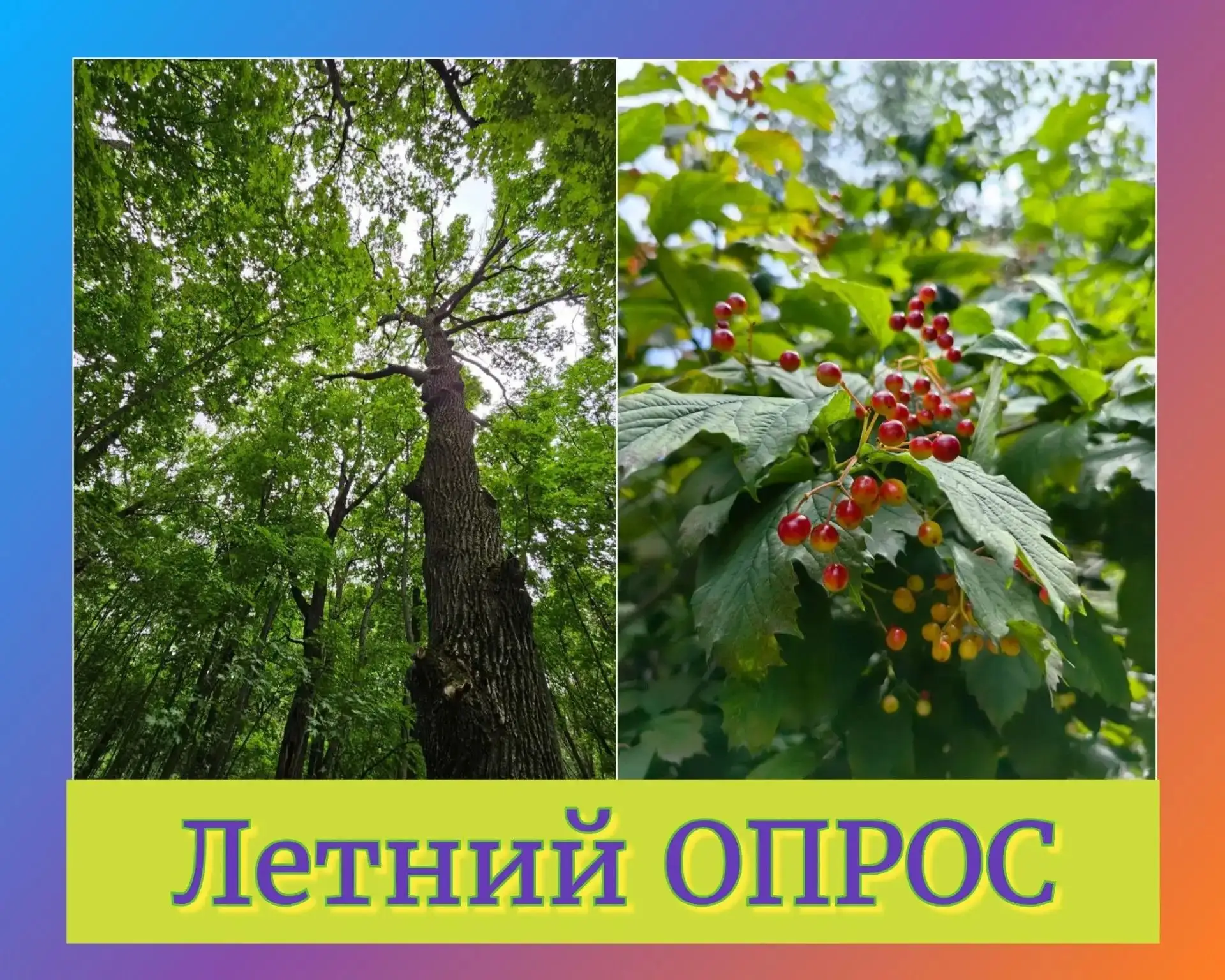 Лето пролетает так стремительно. Кажется, только вчера мы строили грандиозные планы на ...
