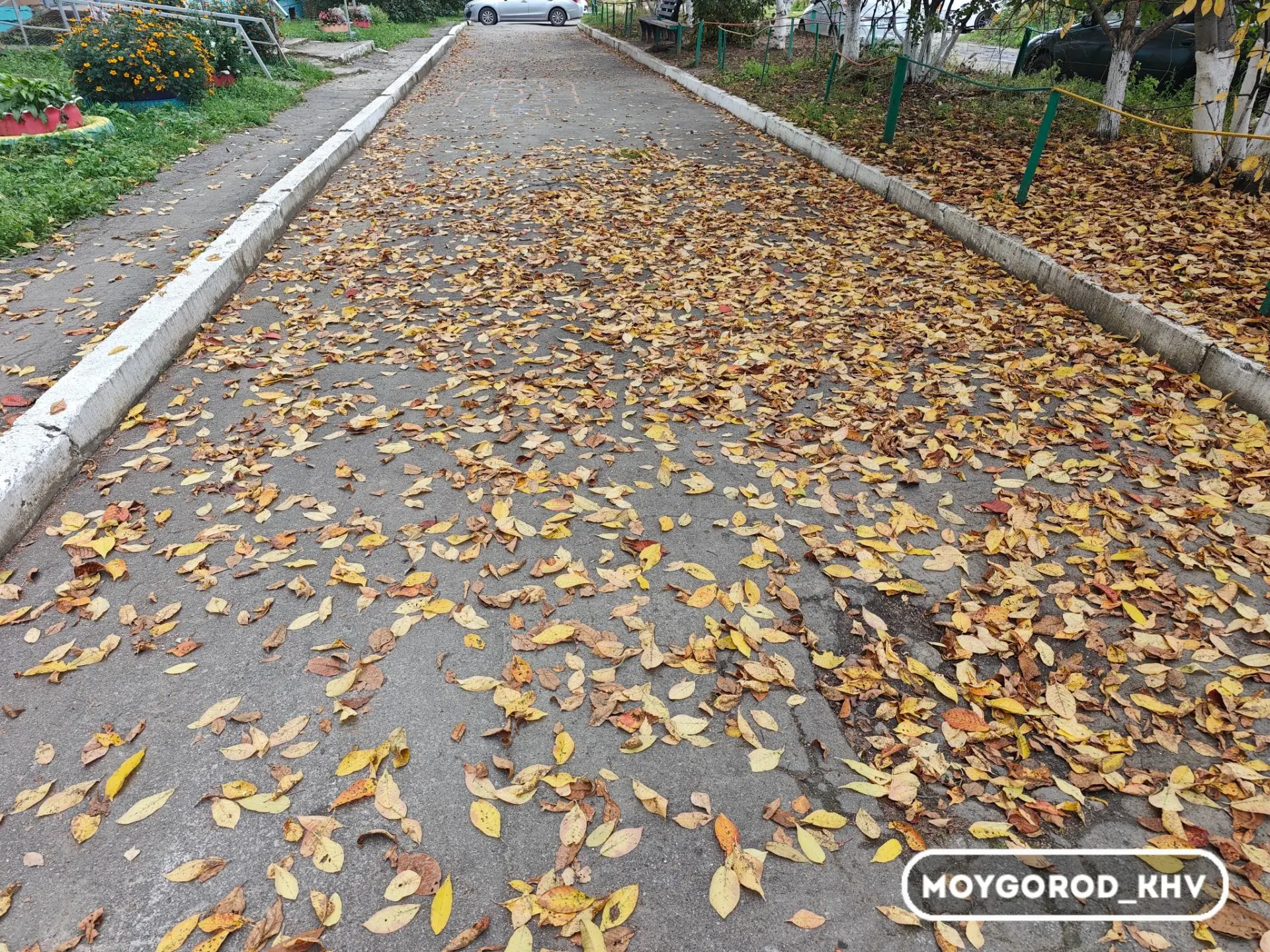#moygorod_khvпогода | 🌧