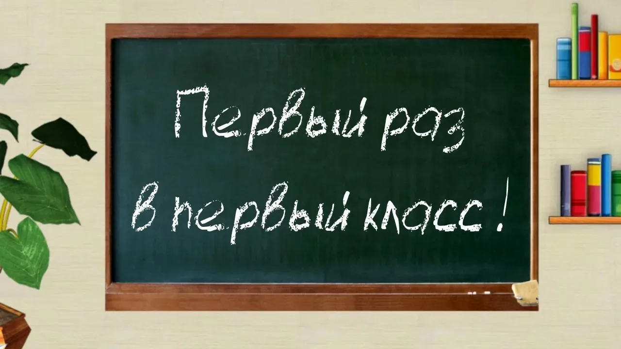 🎒 Первый класс 2026: как идет зачисление в Волосовском районе?