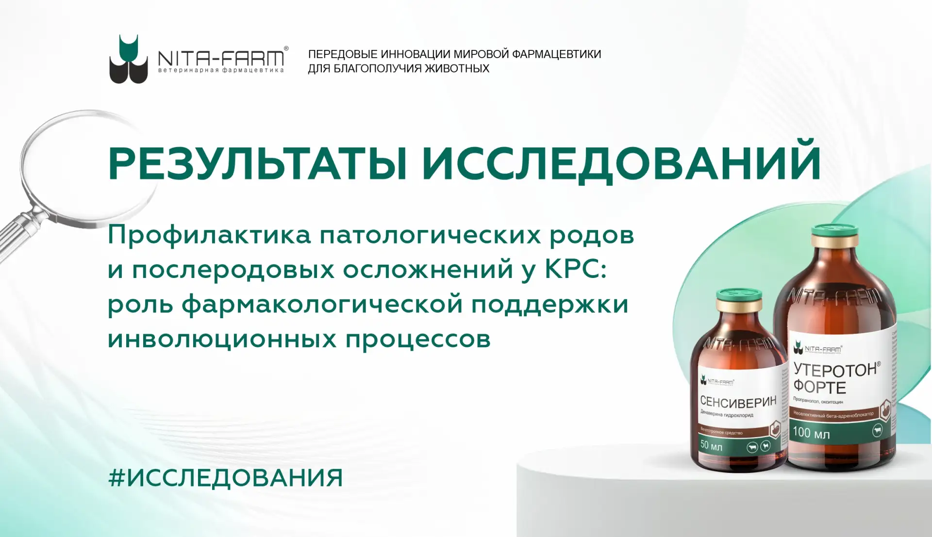 Патологические роды и послеродовые осложнения широко распространены у КРС и наносят зна...