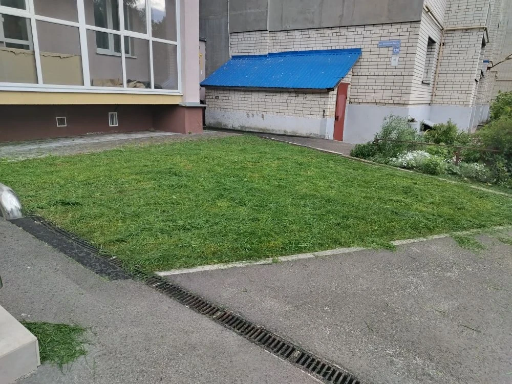 В соответствии с графиком покоса сорной растительности, продолжаются работы по окосу те...