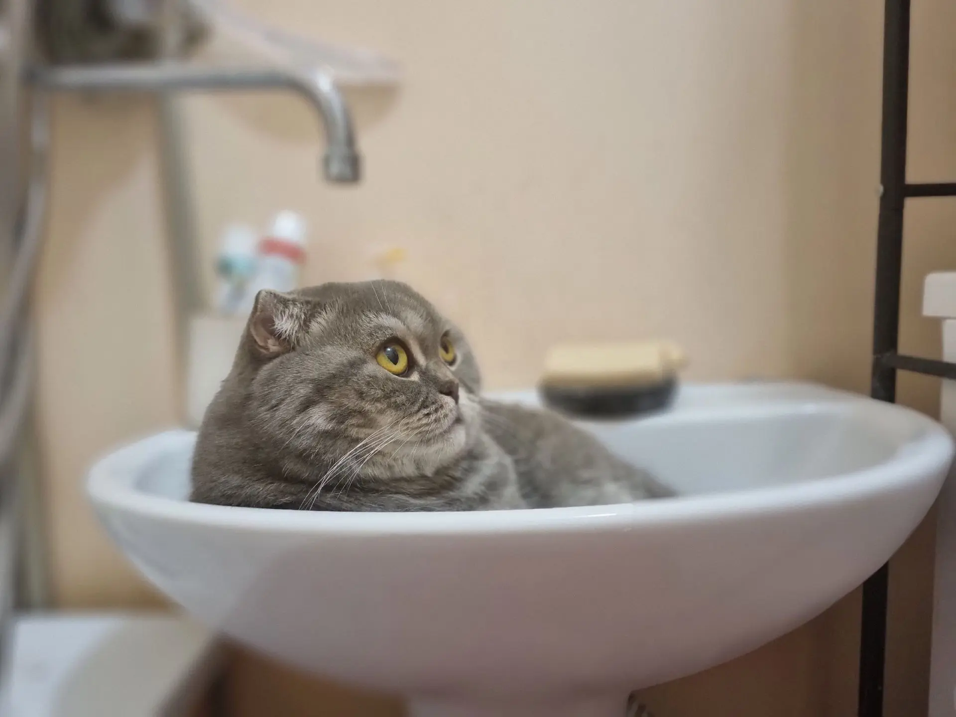 💧 В Центральном округе Курска 8 октября отключат холодную воду