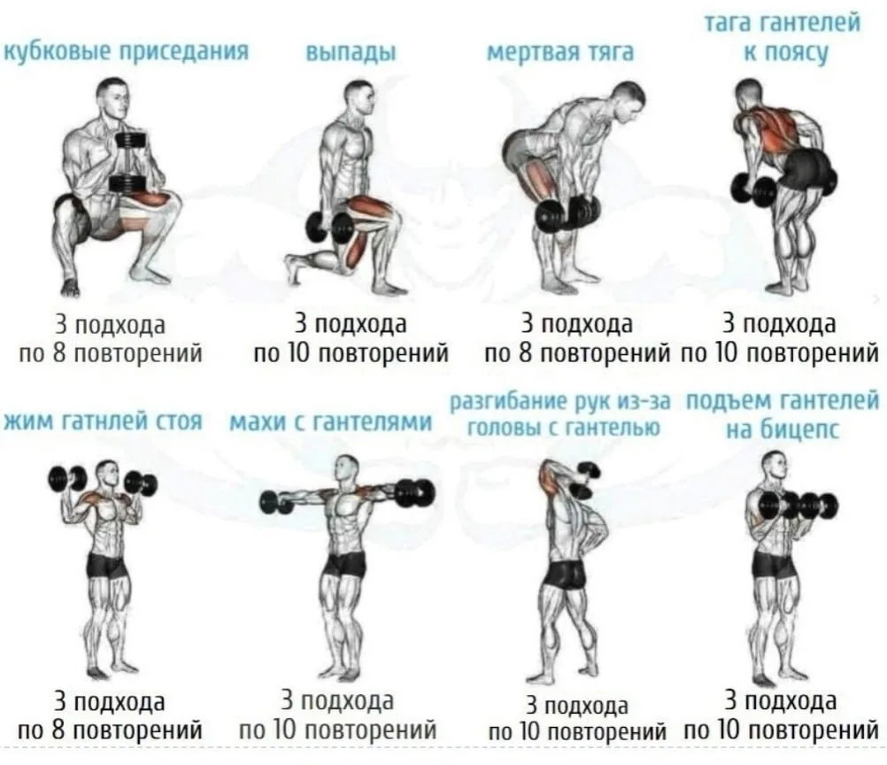 Тренировка с гантелями