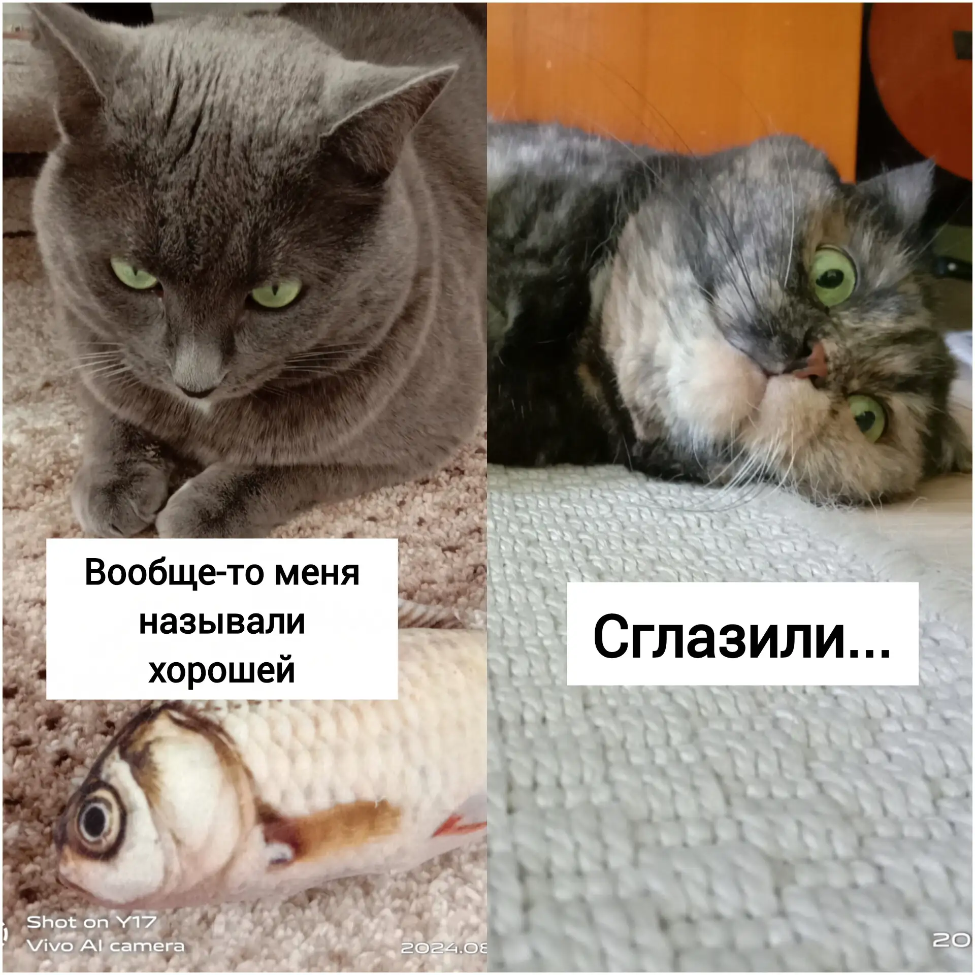 Когда у кого-то на все готово опровержение