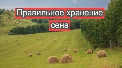 Требования пожарной безопасности