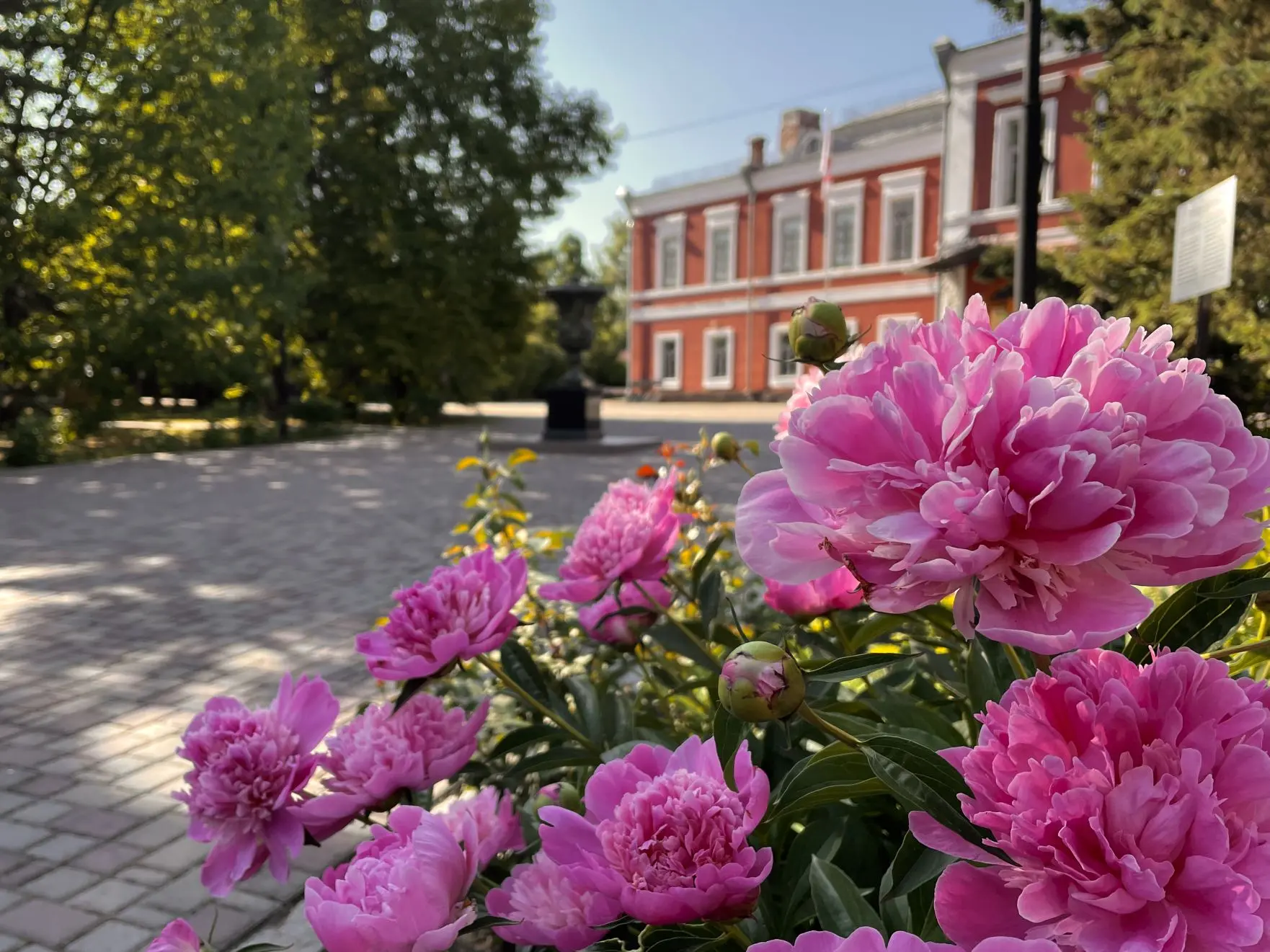Пионовое настроение царит в ГМИЛИКА 🌺

Ярко-малиновые, нежно-розовые, гармонично-белые – но всегда 