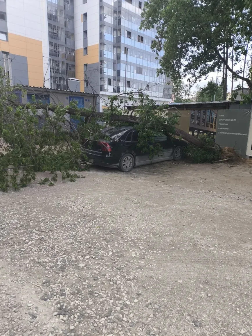 ⚡️ УРАГАН В ПРИКАМЬЕ: ПОГИБШИЙ, РАНЕНЫЕ, РАЗБИТЫЕ МАШИНЫ. КТО ЗАПЛАТИТ?

В Чайковском деревом убило 