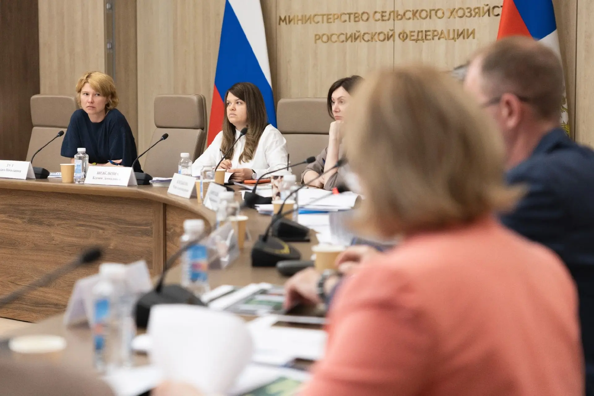 📢 В Минсельхозе России обсудили реализацию цифровых селекционных проектов БашГАУ  Министр сельского 