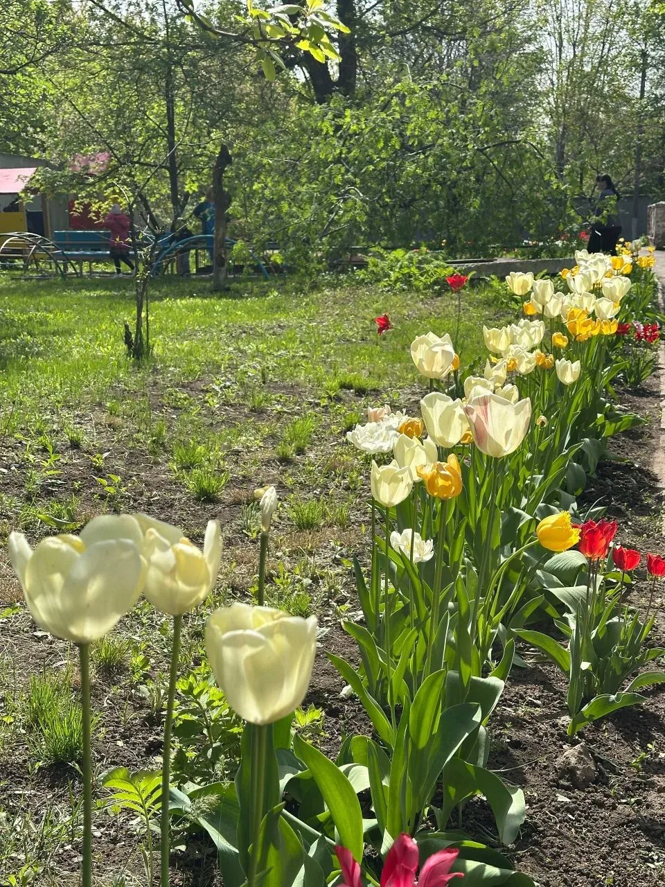 Каждый родитель, заботящийся о своем ребенке, должен знать, как повысить его иммунитет....