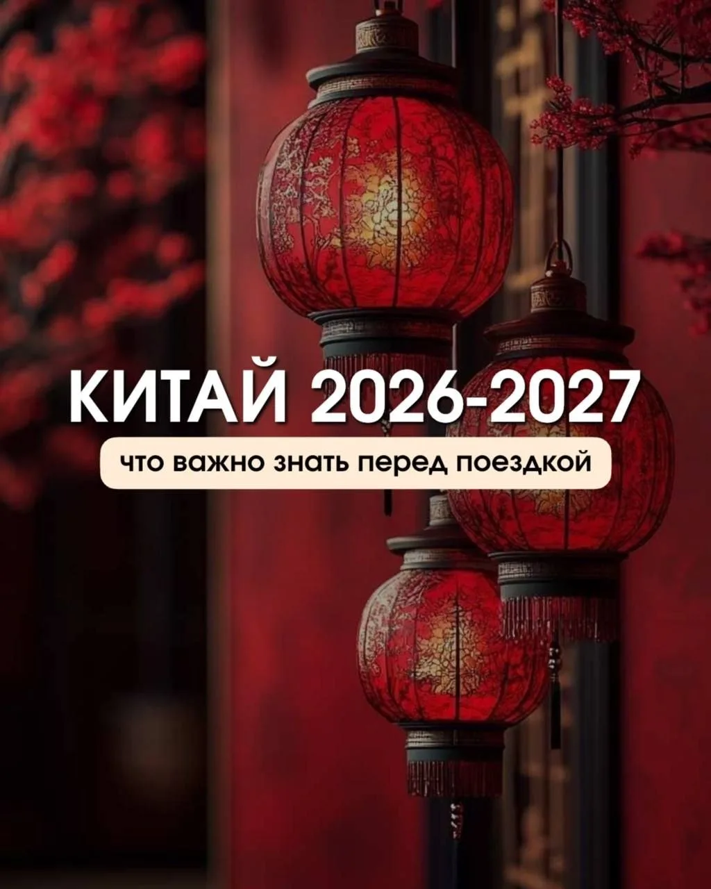 Китай 2026-2027

Собрала у удобной форме информацию для Вас!
Сохраняйте, чтобы не потерять.

#важноз