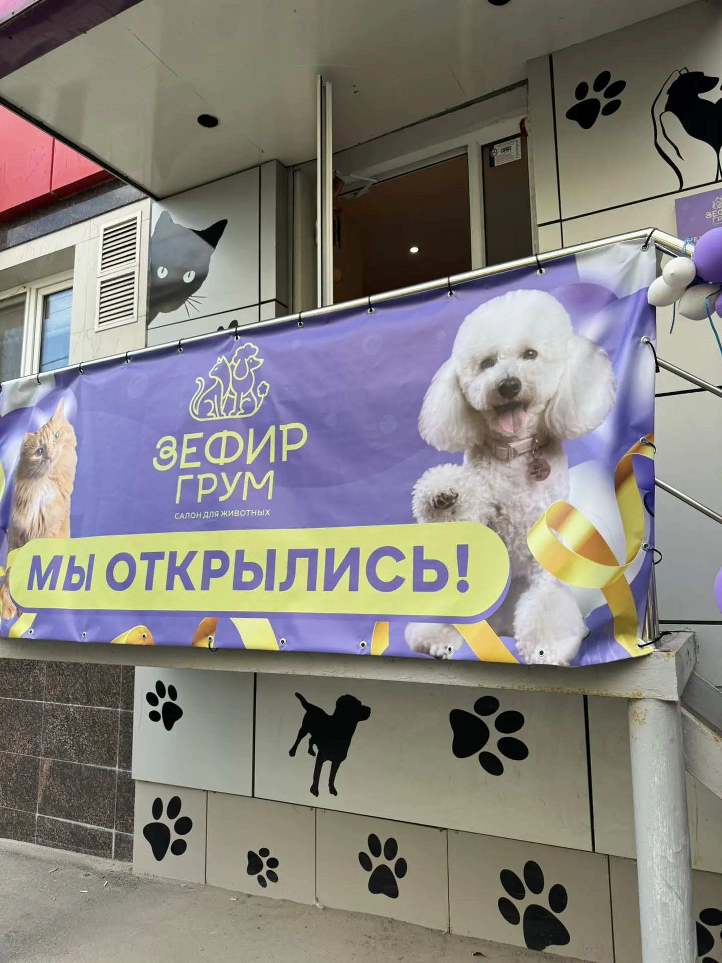 Мы приехали в грумерский салон наводить красоту☺️