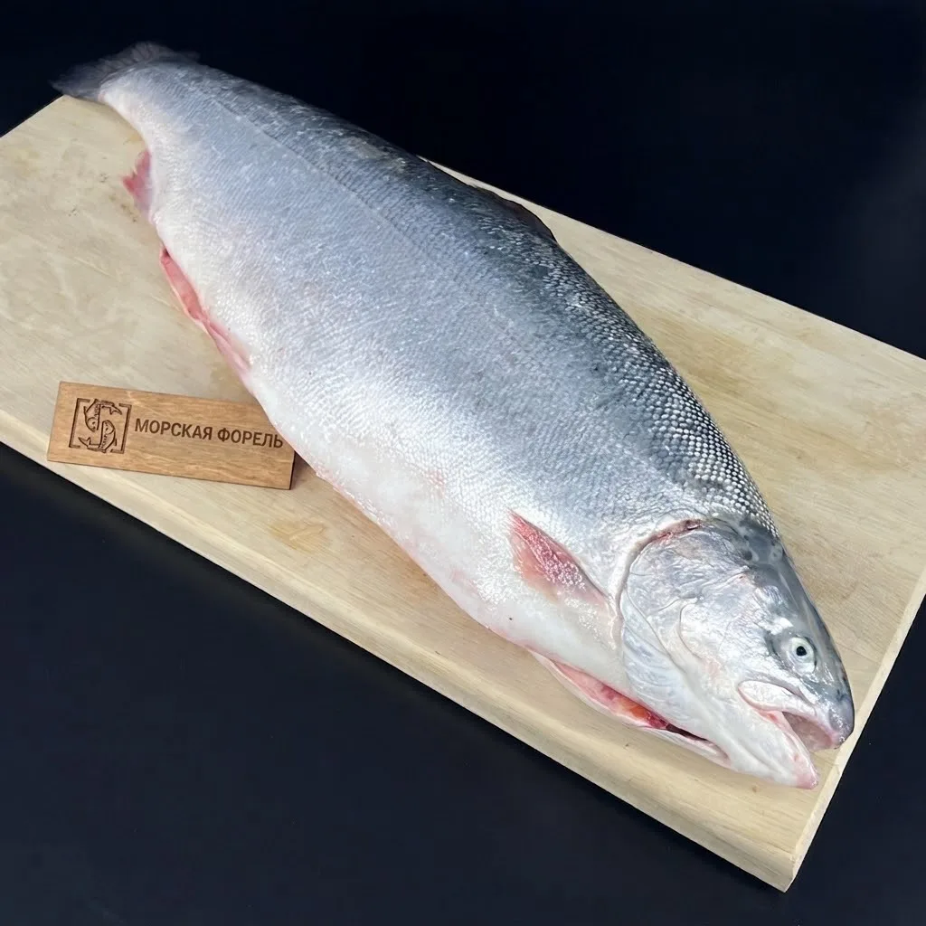 МОРСКАЯ ФОРЕЛЬ ДОСТУПНА К ЗАКАЗУ 😋