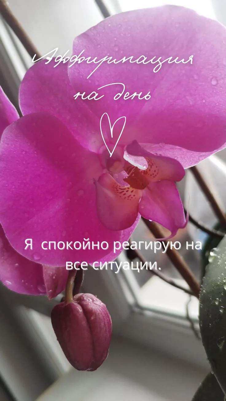Я спокойно реагирую на все ситуации.