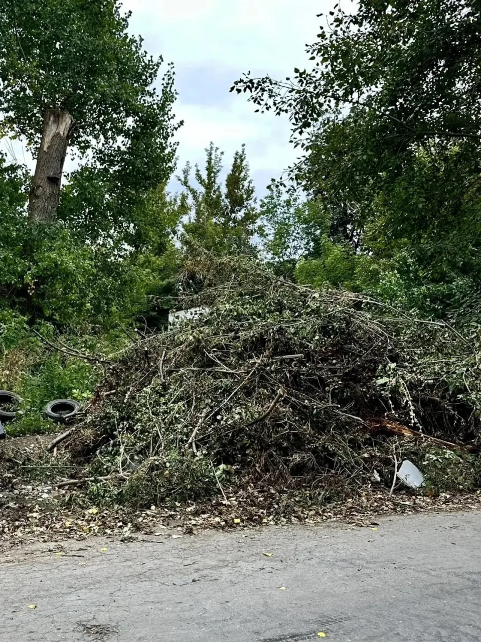 🗑 В Липецке начнут убирать свалки у контейнерных площадок