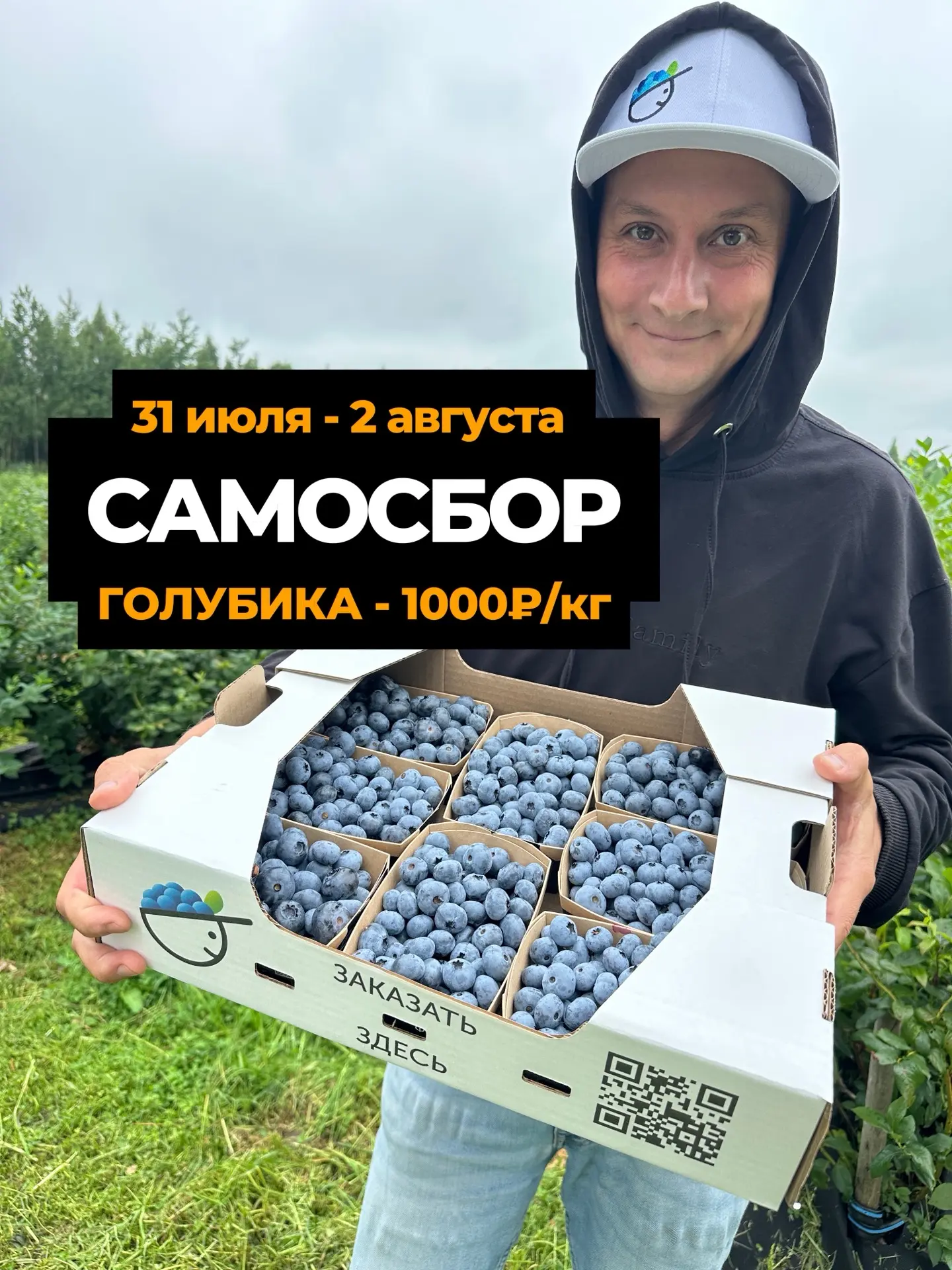 🫐 Самосбор голубики