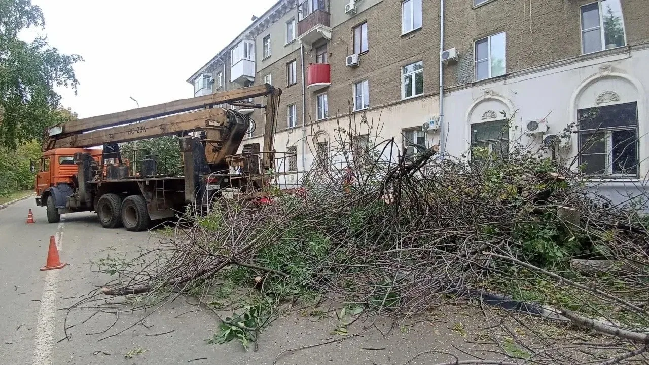 🌳Обновление зеленого фонда