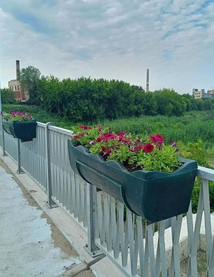 🌸 Неизвестные вырвали цветы возле парка 1 Мая в Луганске