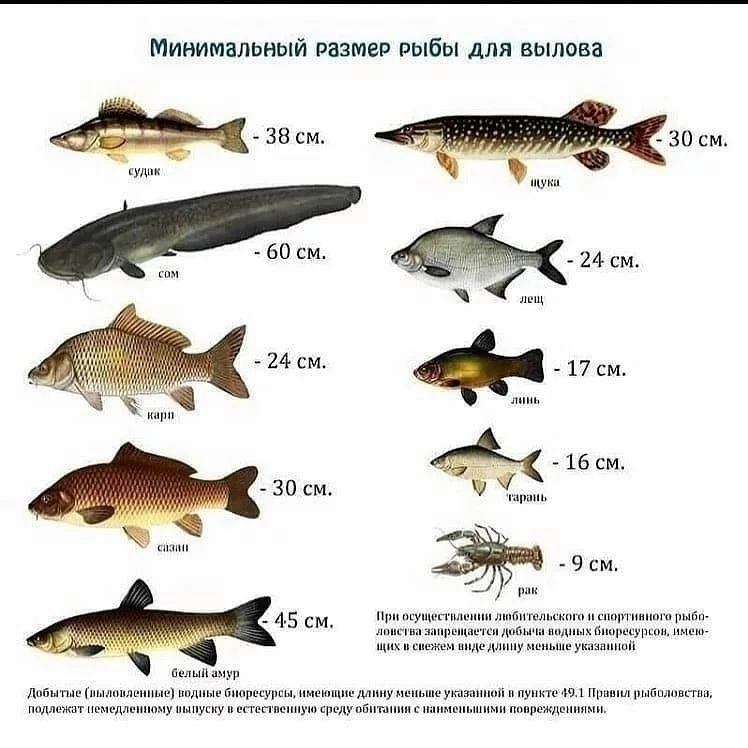 Πолезнaя инфоpмация❗️