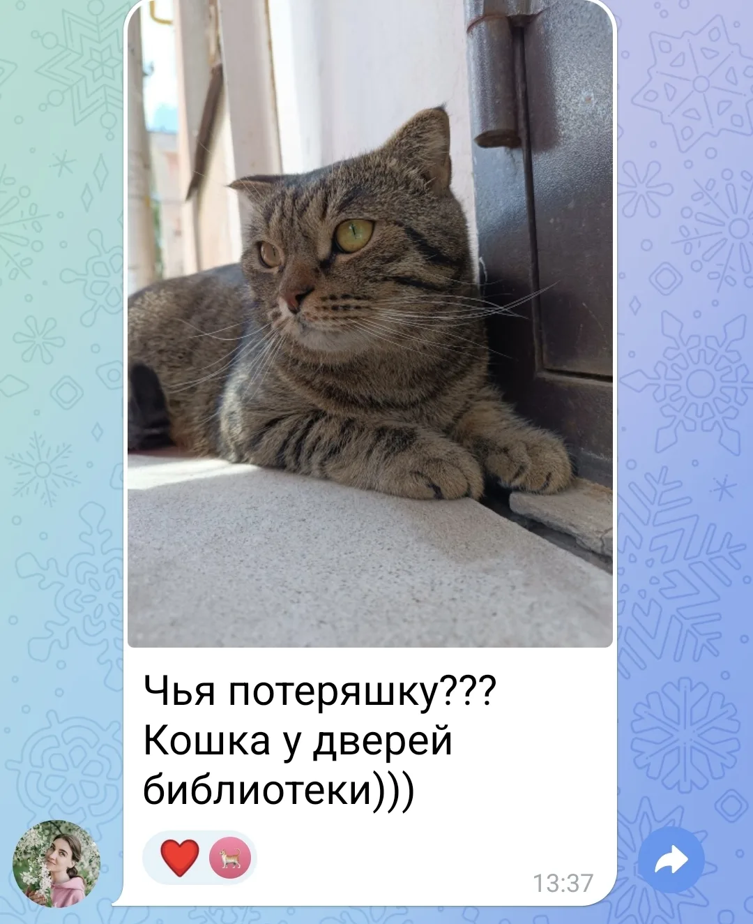 Чья потеряшка?