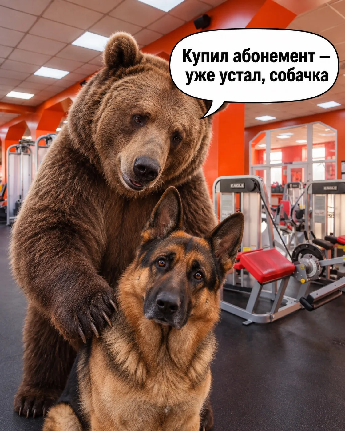 Вот такая фигня, собачка😀