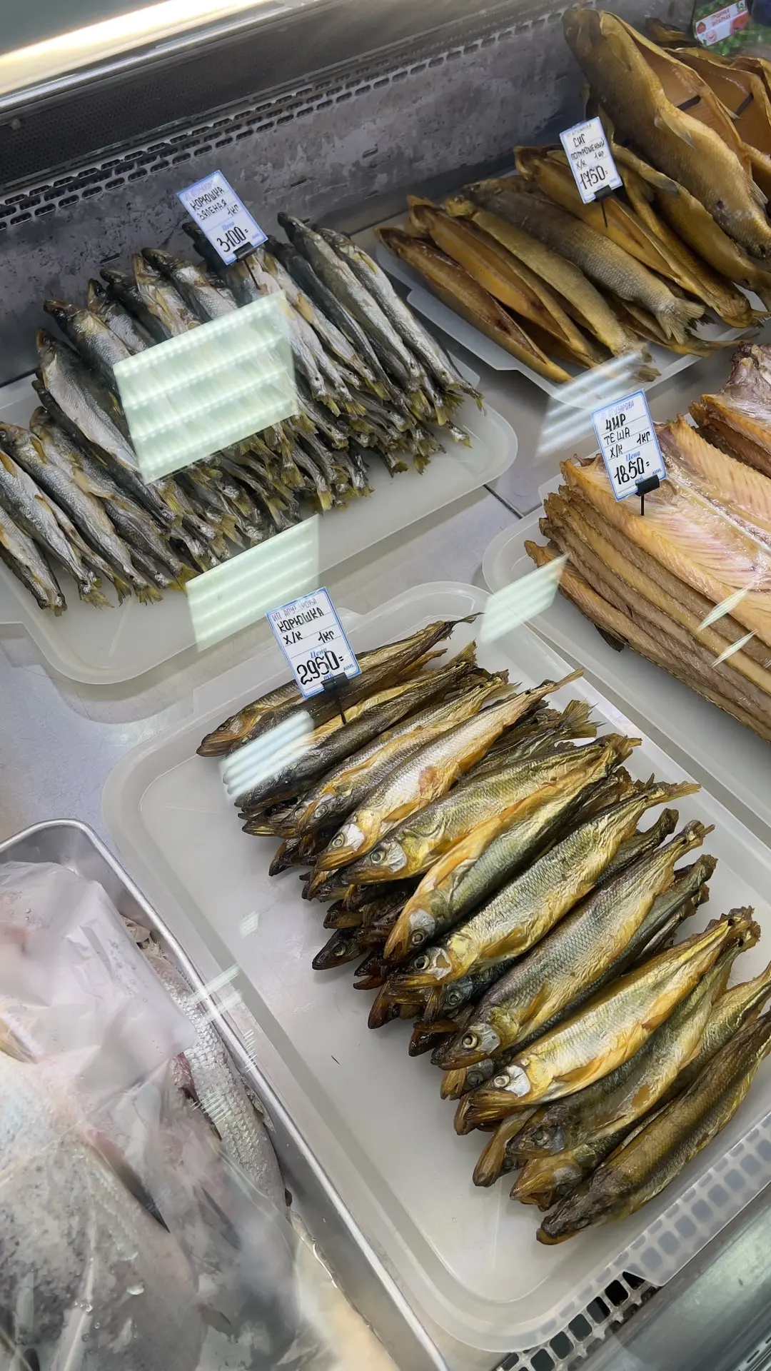 Рыбная актуалочка! 🐟