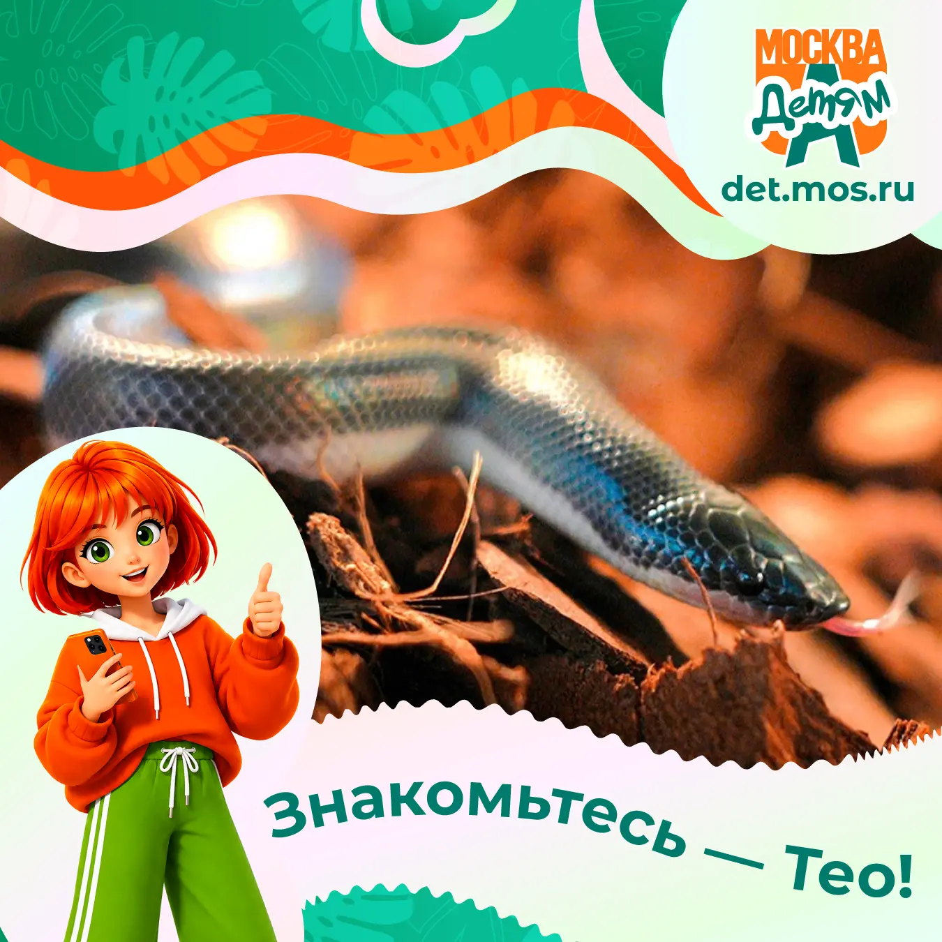 Тео – так юные москвичи назвали маленькую мексиканскую двухцветную змею, которая родила...