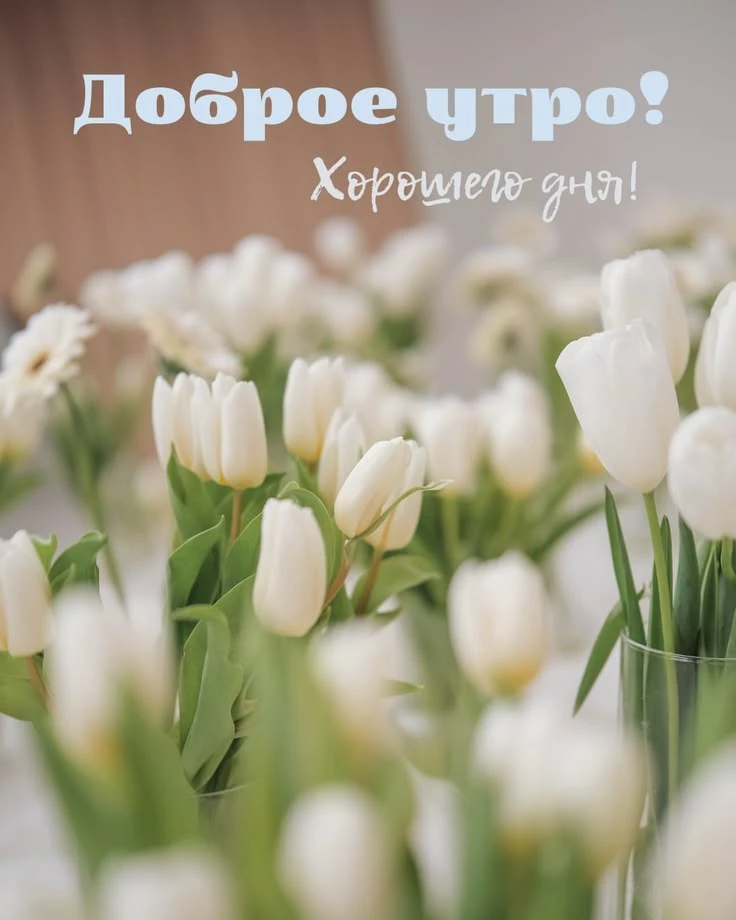 Поздравления для Настроения💌