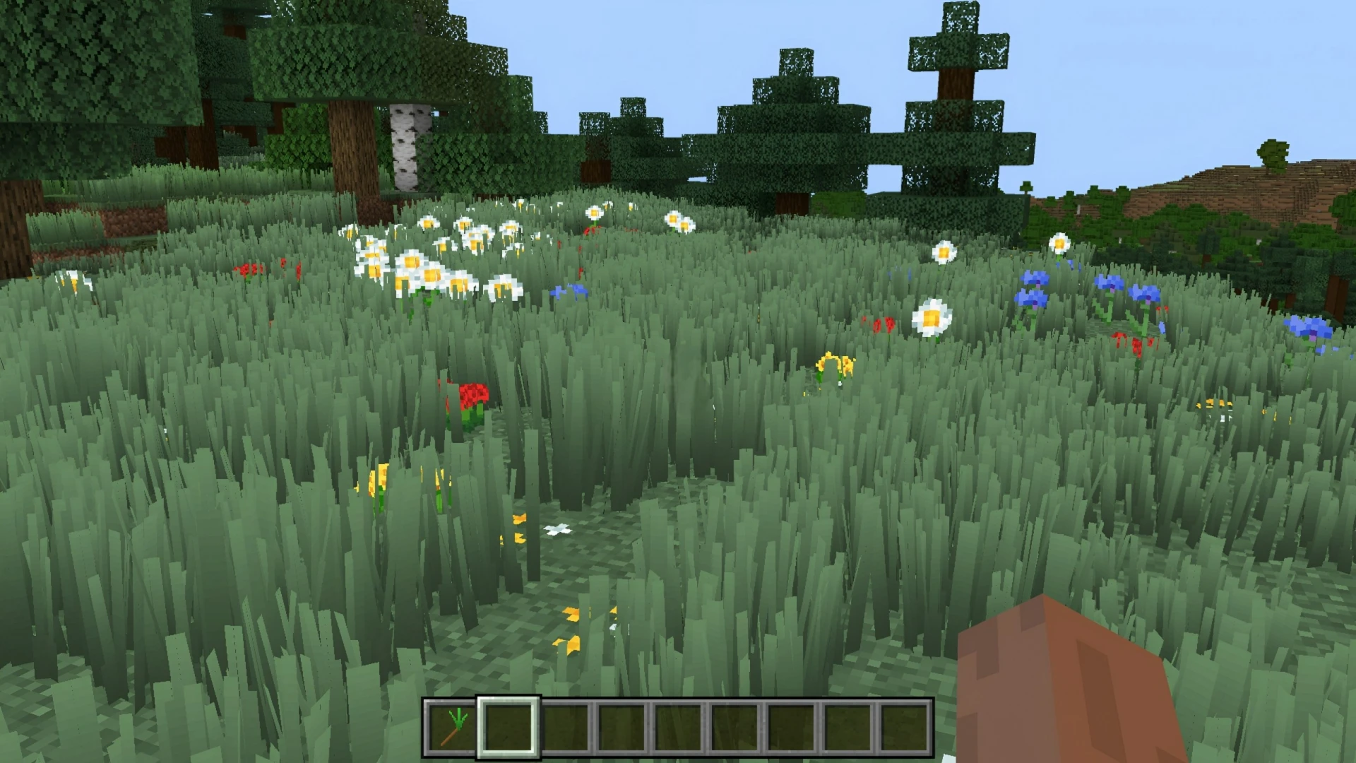 LUSH MEADOWS