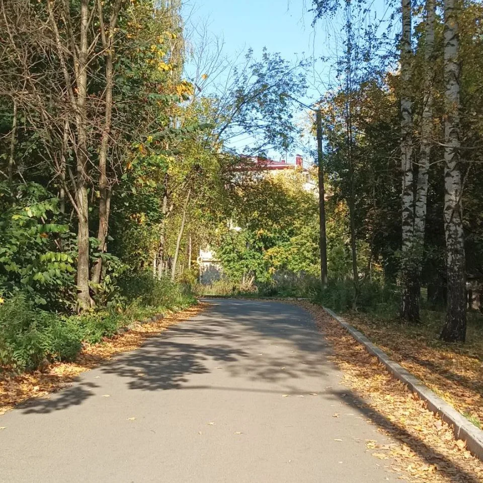 Осенние зарисовки тёплых сентябрьских дней🙂.