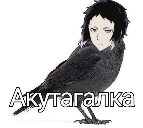 Бсд