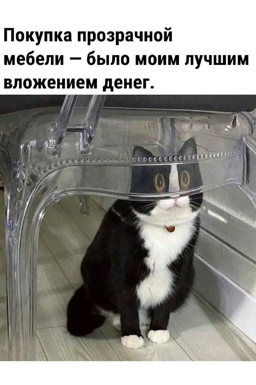 Подпишись на юмор 😂