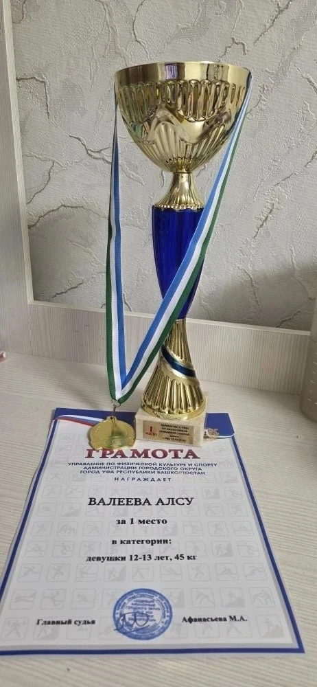 💫 Достижения лицеистов  📆15 февраля 2026 года в Уфе состоялось Первенство города Уфы по киокусинкай 