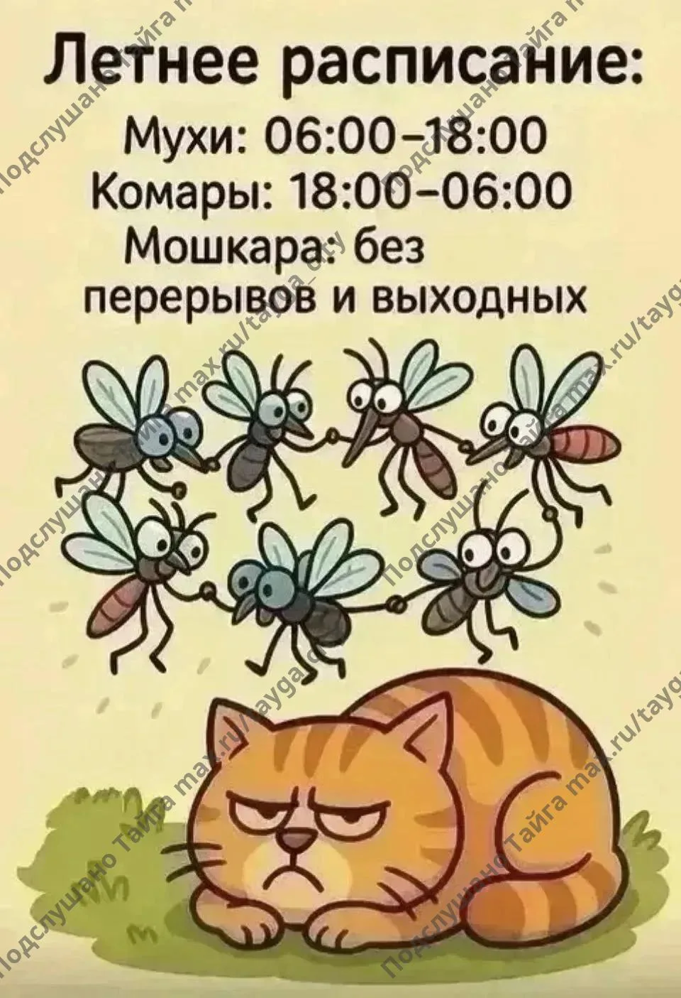 Доброй ночи, Тайга