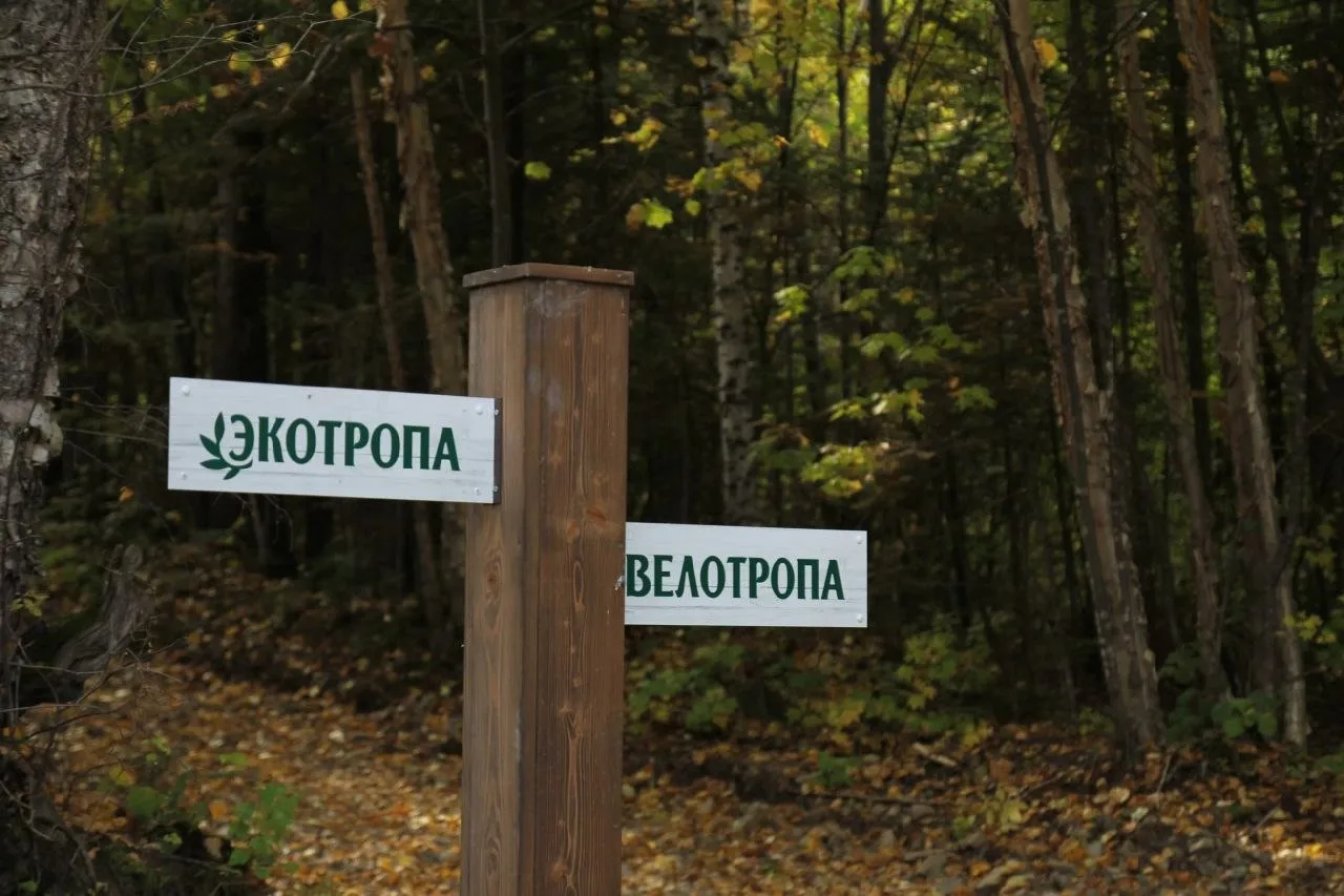 Хехцир превратился в большую парковку
