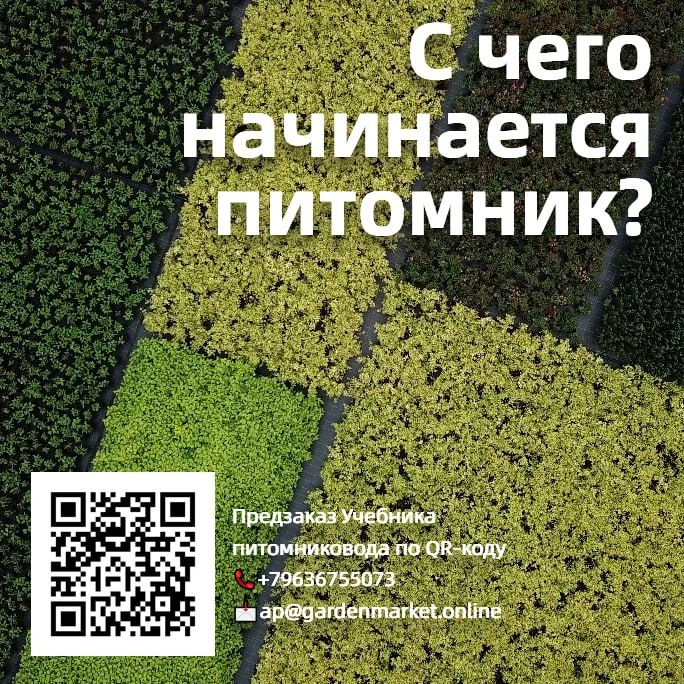 С чего начинается питомник?

✏️Первое, с чего нужно начинать при создании питомника, - это с его про