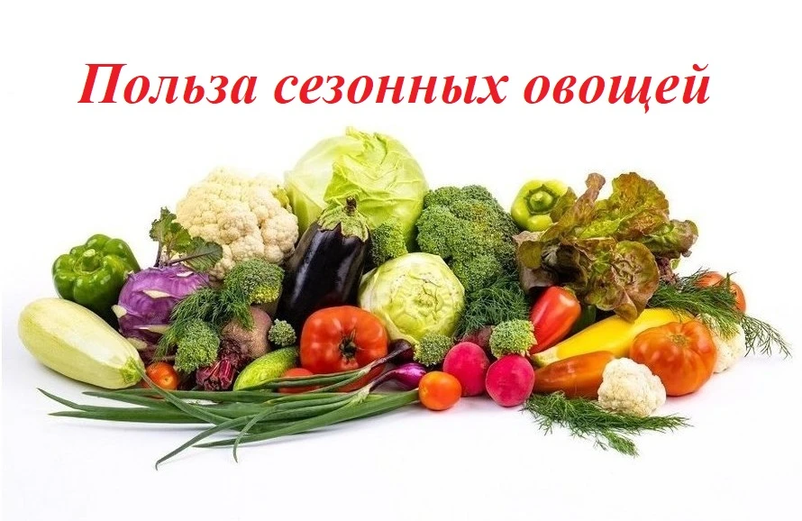 🍆🥕🌶🥒🥬🥦 Польза сезонных овощей заключается в их высоком содержании витаминов и пол...
