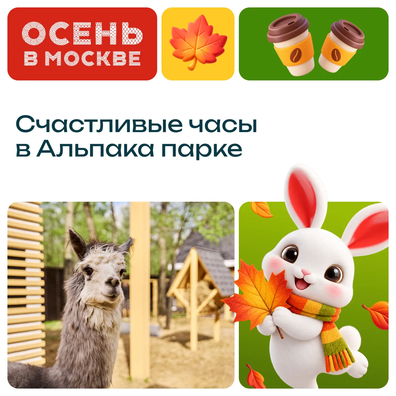 🦙 Альпакотерапия от осенней хандры. С 3 октября по 22 ноября дети до 13 лет включитель...