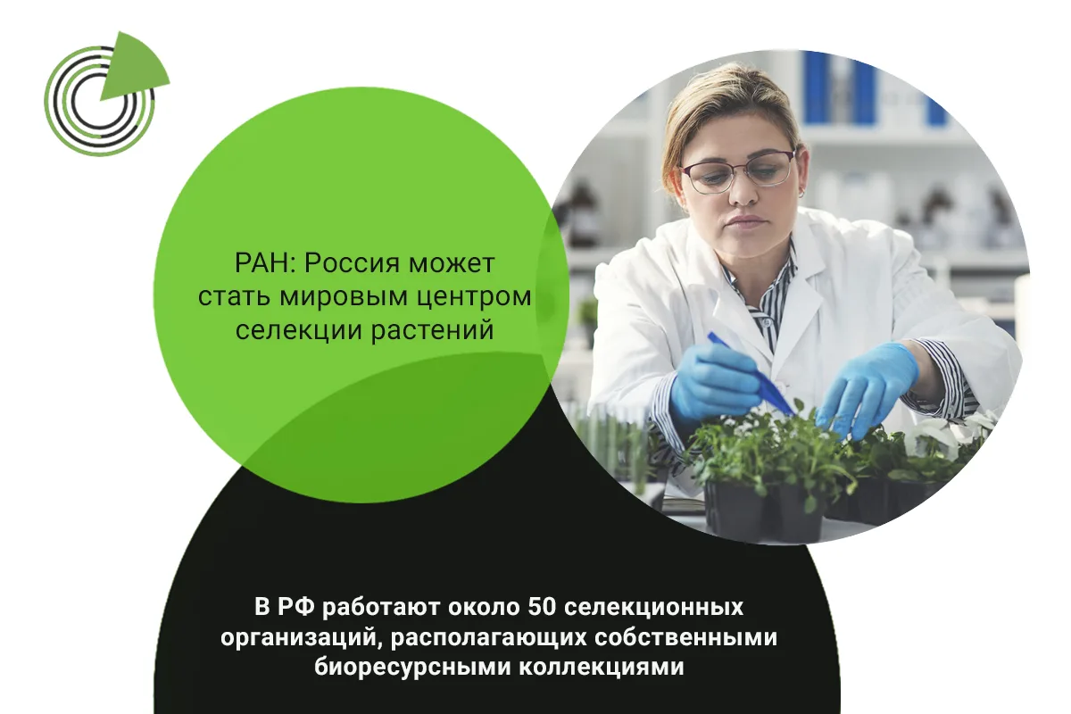 РОССИЯ МОЖЕТ ВЫСТУПИТЬ ГЛОБАЛЬНЫМ ЦЕНТРОМ СЕЛЕКЦИИ РАСТЕНИЙ — РАН