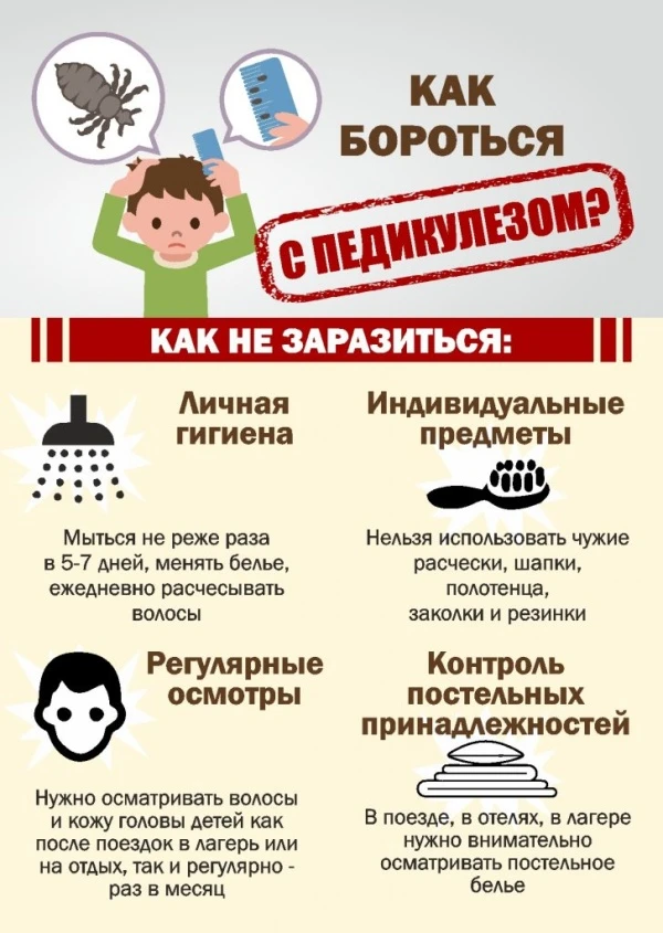 Педикулез (pediculosis, вшивость) — заразное заболевание, вызываемое паразитированием н...