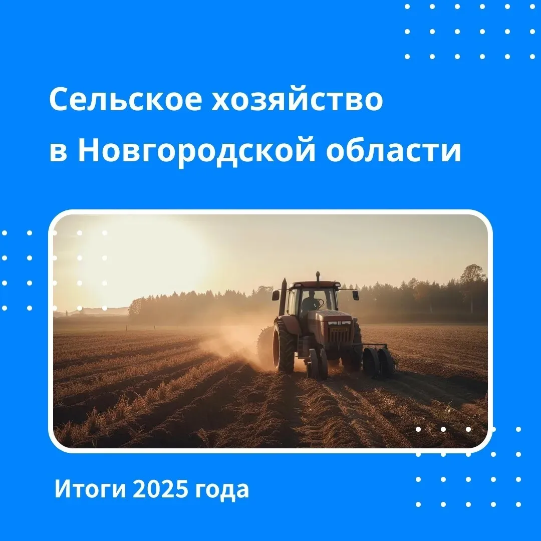 👉 Губернатор Новгородской области Александр Дронов выступил с отчетом перед областной Думой и расск