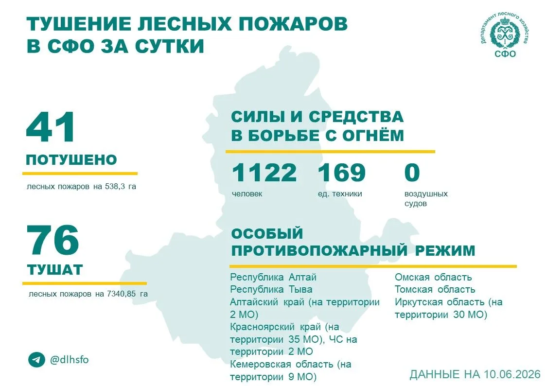 🟢За прошедшие сутки в 7 регионах Сибирского федерального округа потушили 41 лесной пожар.