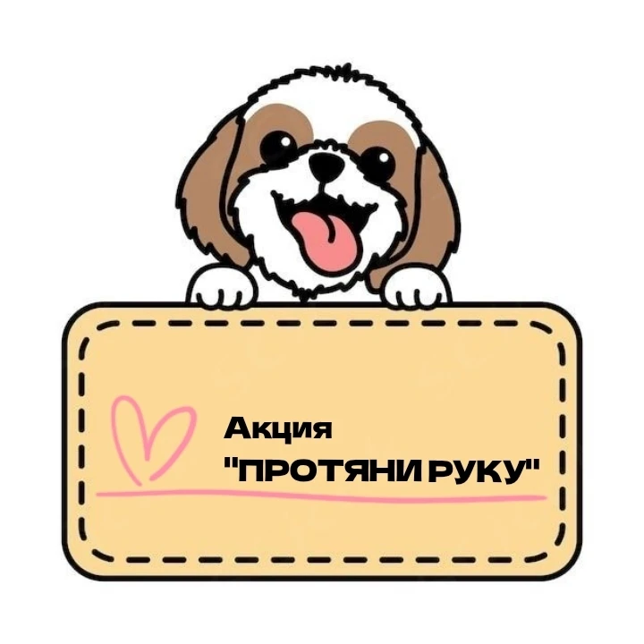 🐾 Акция «Протяни руку» — помогаем бездомным животным!