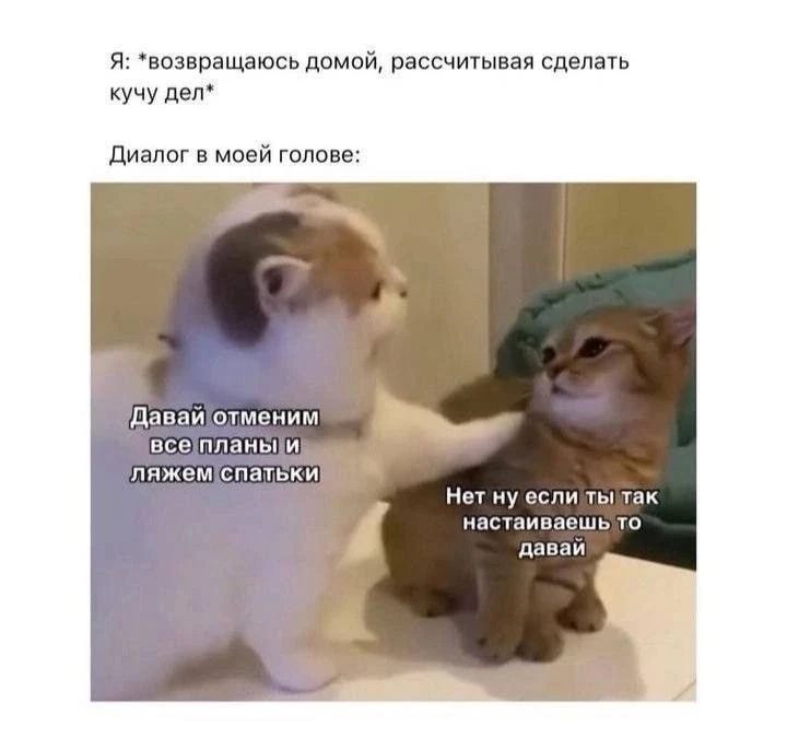мемы / приколы / юмор / смешно