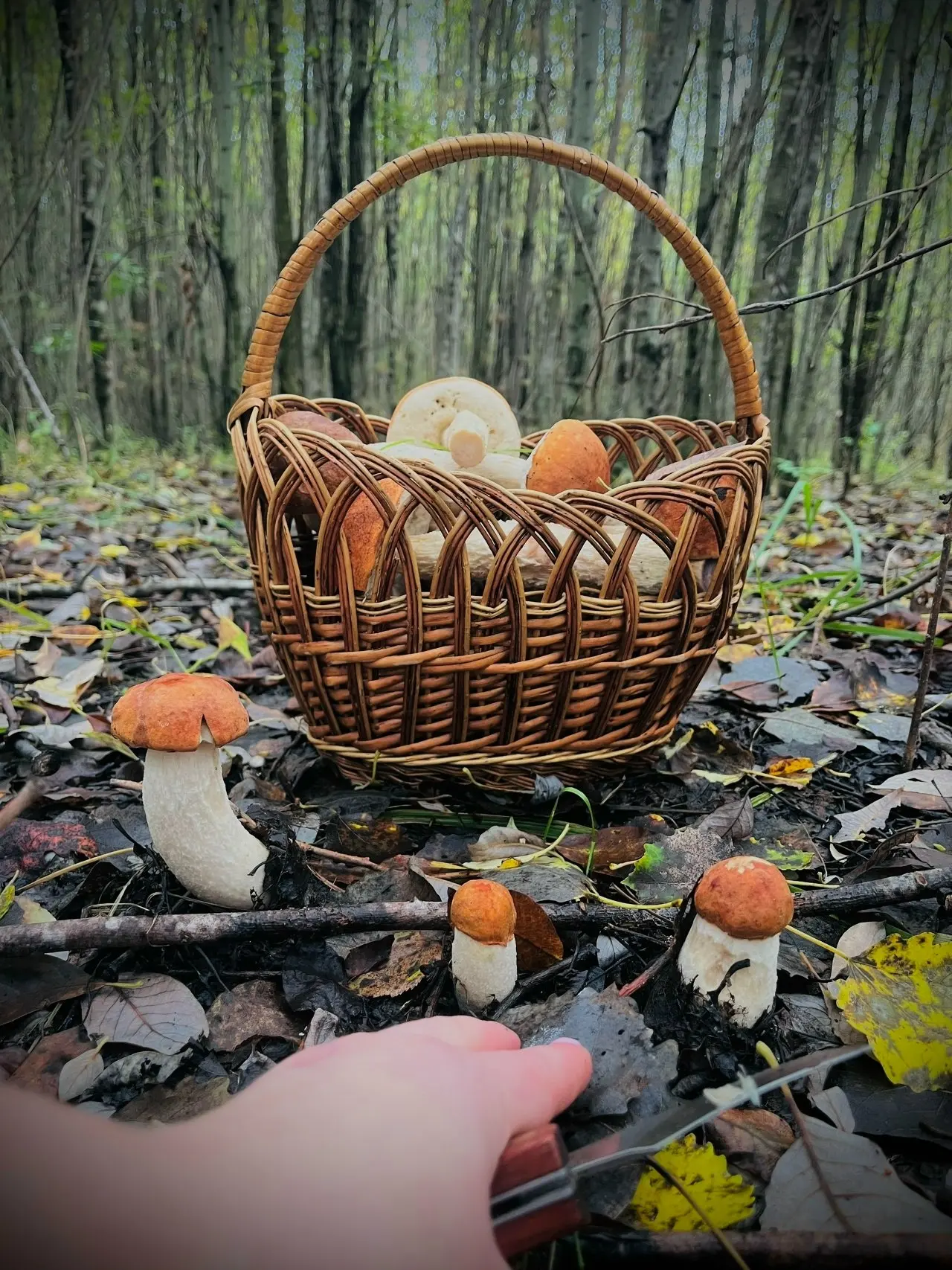 Автор: Марина Безденежных Мальцева (vk.com/id67143425)