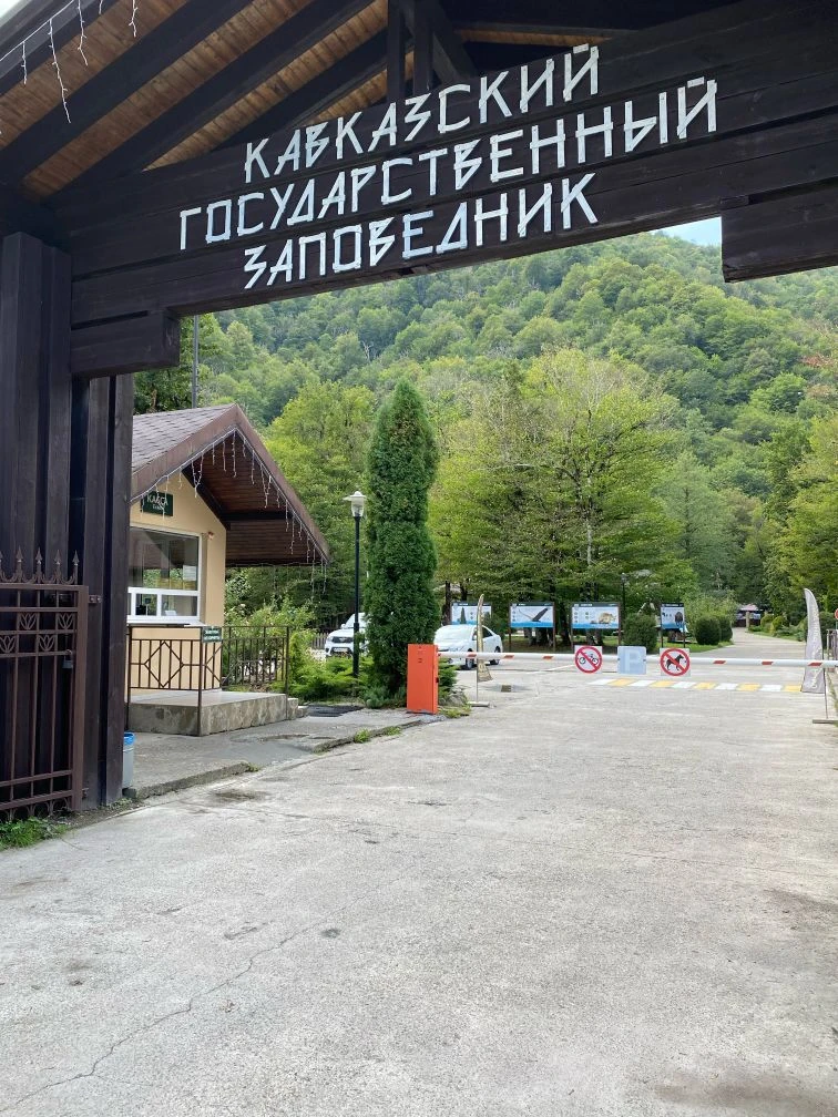 В Сочи судят новое руководство заповедника и нацпарка

На скамье подсудимых оказались Владимир Титов