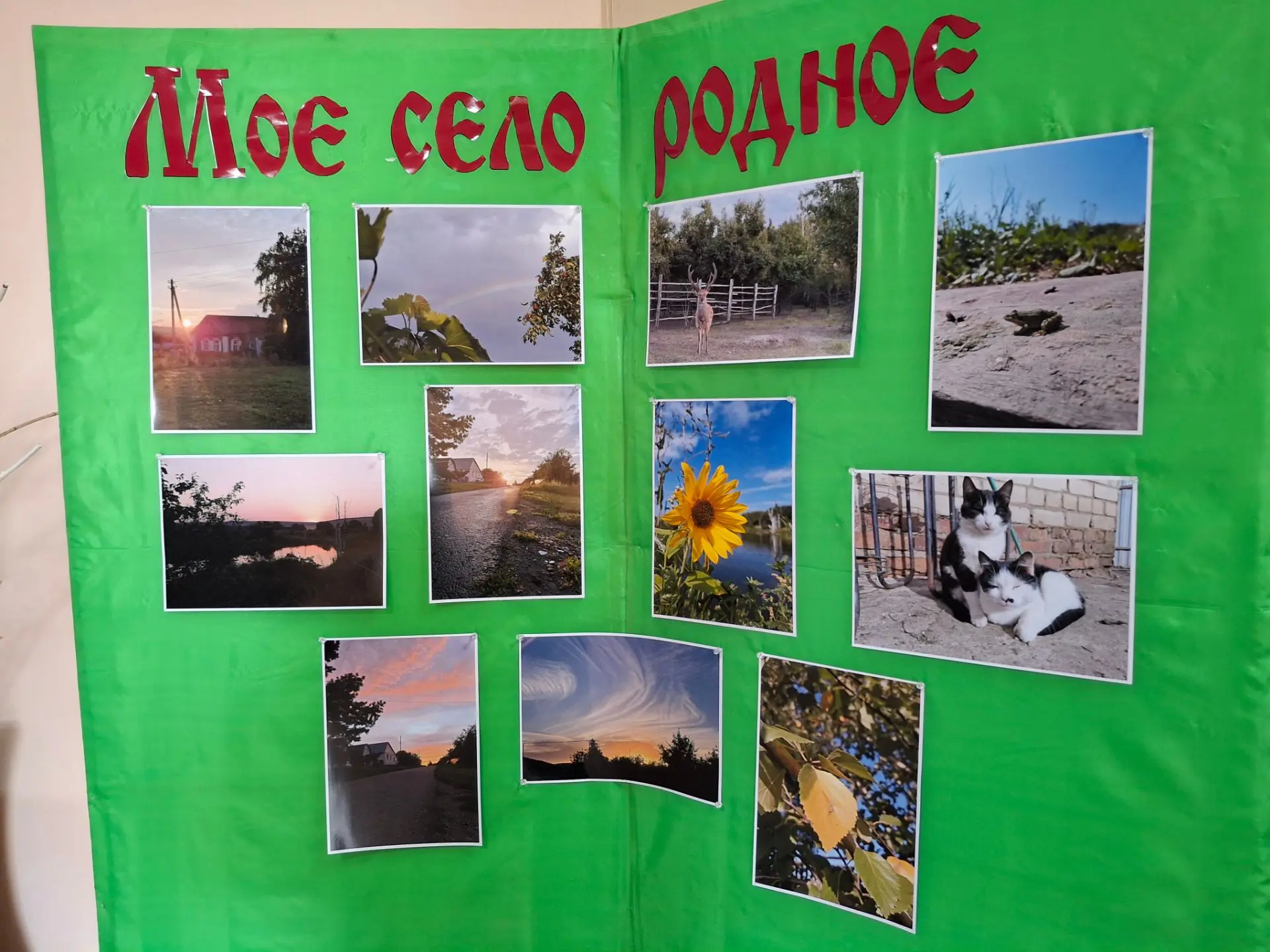 ✨ В НАШЕМ ДОМЕ КУЛЬТУРЫ — НОВАЯ ФОТОВЫСТАВКА!