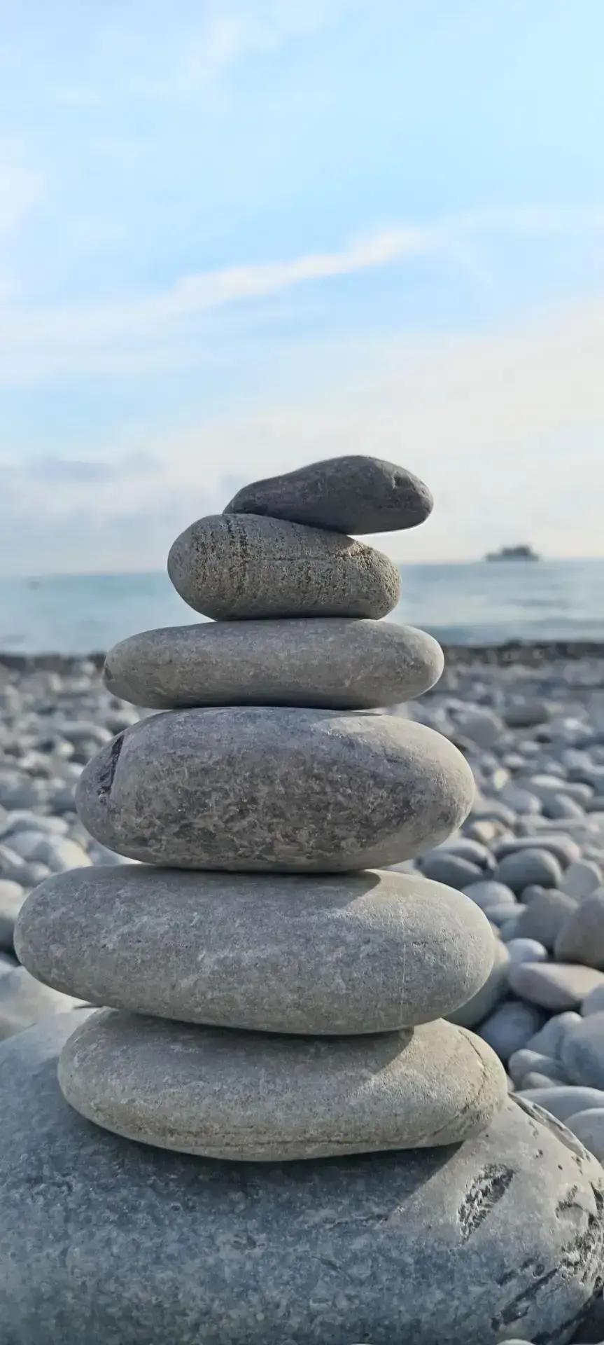 В Шилово из Лазаревского передаём приветик...
🌊🌊🌊🏝️🏝️🏝️ 🐬 🐬 🐬

- От подписчика

🌆 Жители Ш