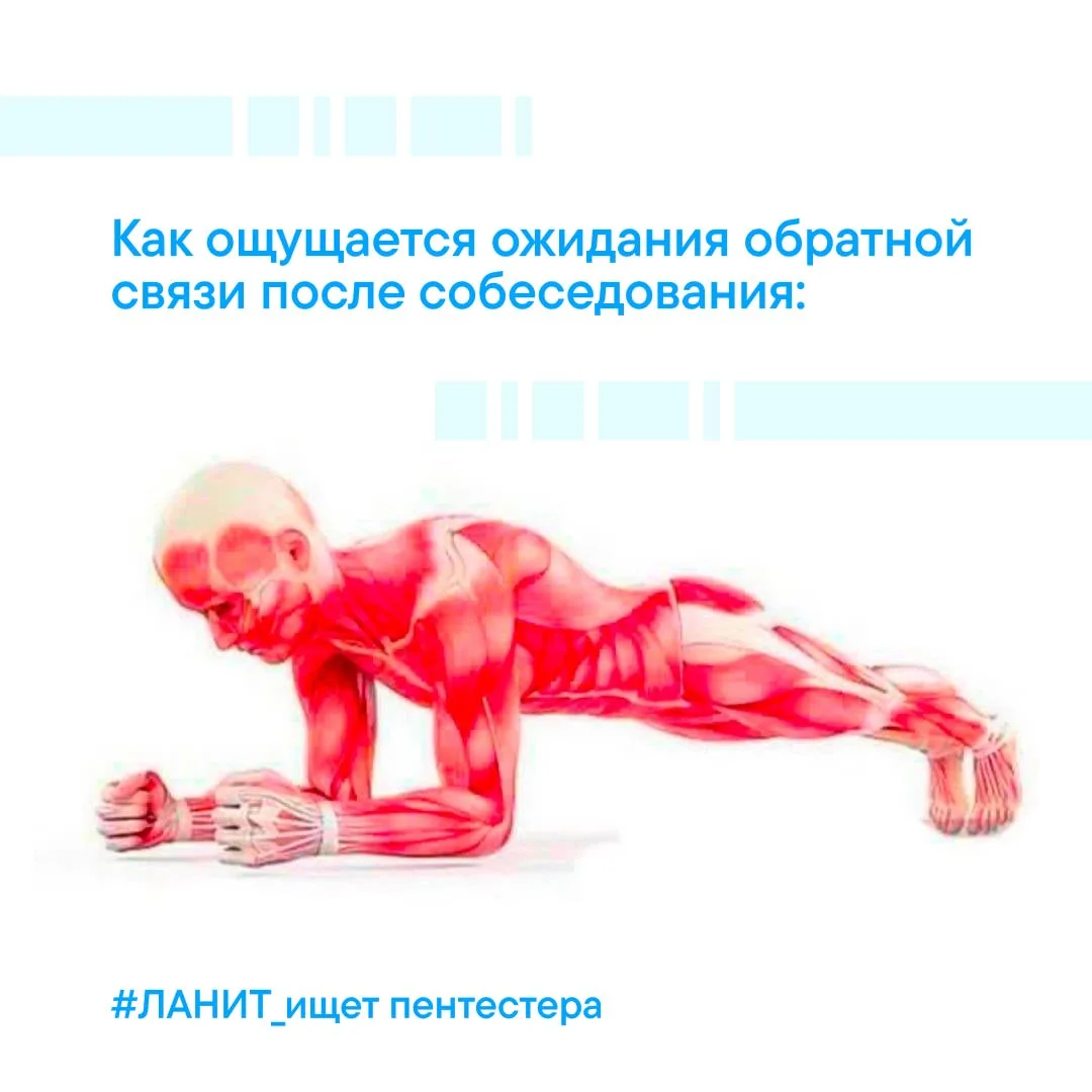 🥵 Стоять в планке? Или ждать фидбека?