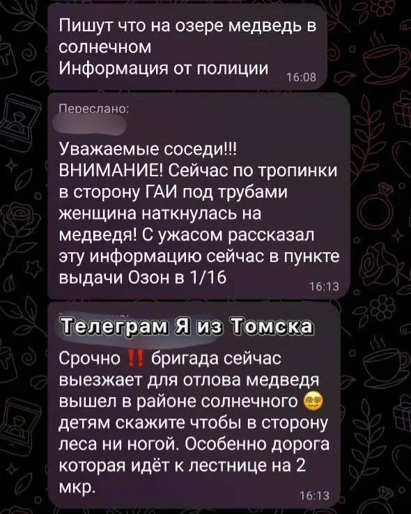 🐻 По сообщениям подписчиков, медведя заметили в микрорайоне Солнечный.